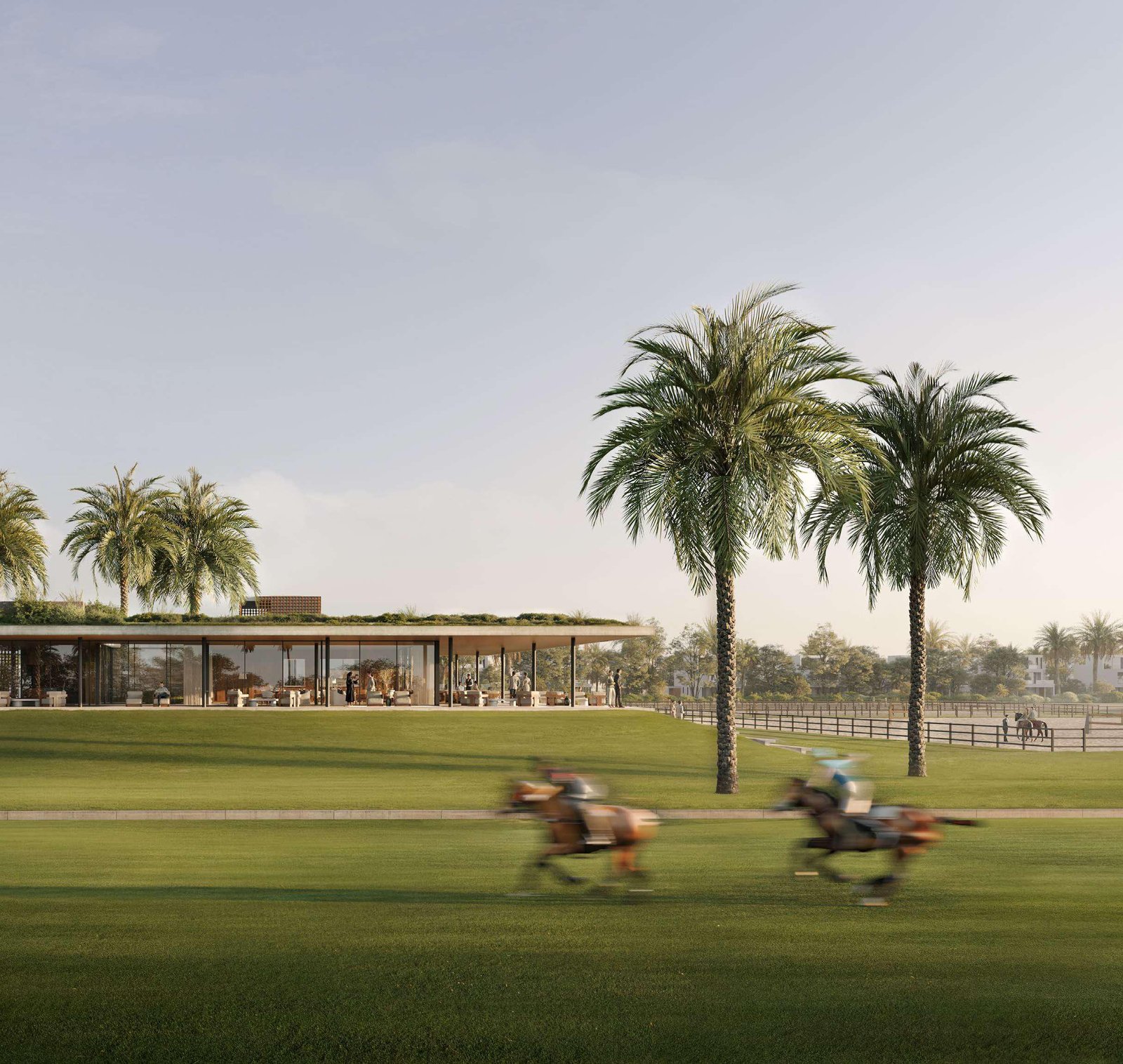 Grand Polo Club & Resort - polo field with riders and palm trees